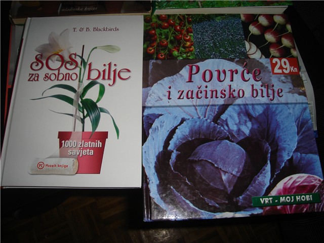 novosti